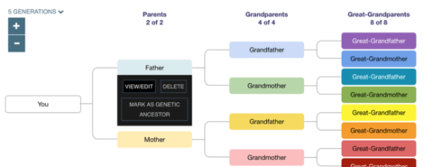 DNA Painter tree