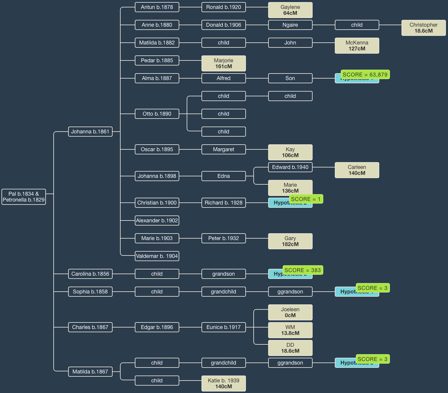 DNA Painter Review: Tools To Help You Find Relatives? - SelfDecode ...