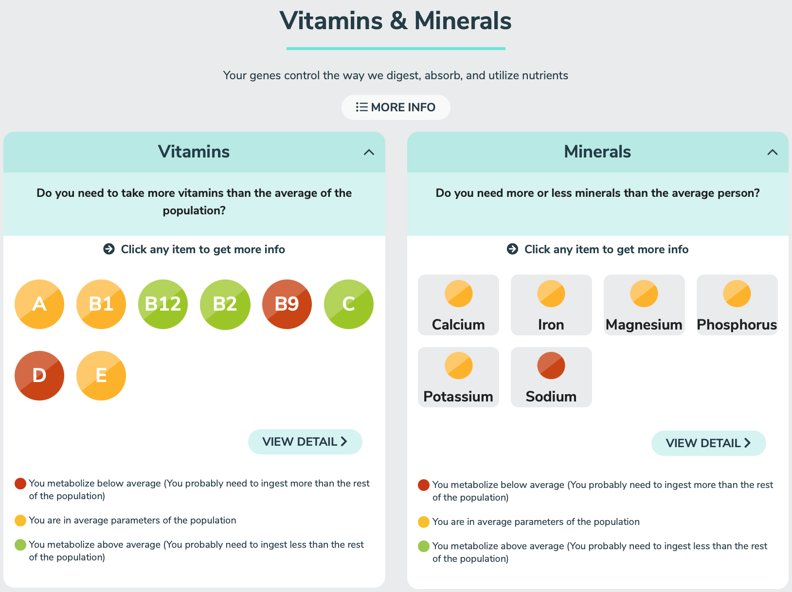 ADNTRO Nutrition report