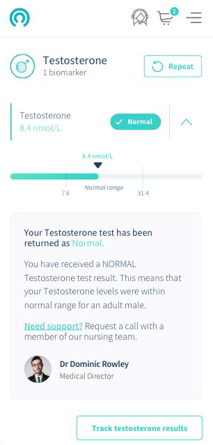 LetsGetChecked at-home testosterone test results