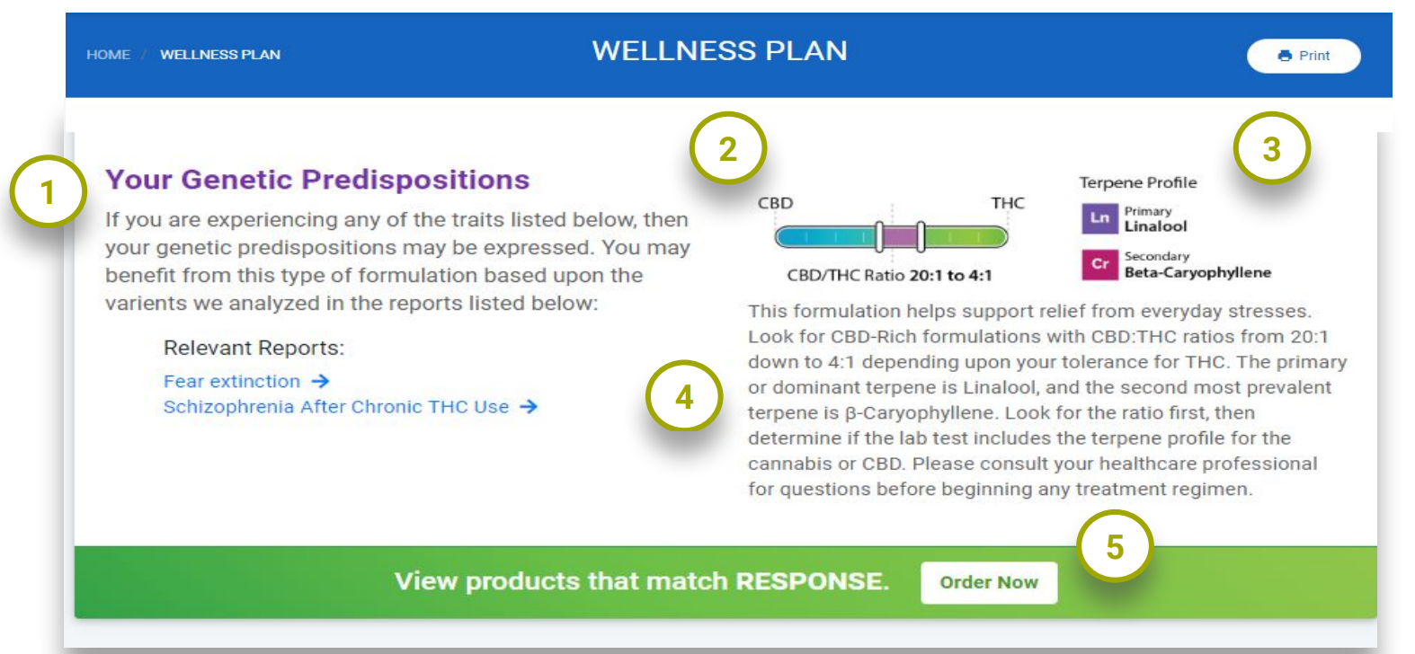 Endo·dna Wellness Plan