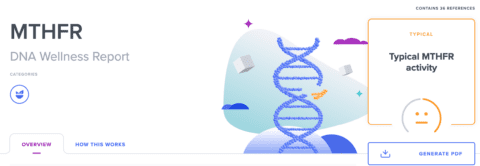 23andme mthfr results