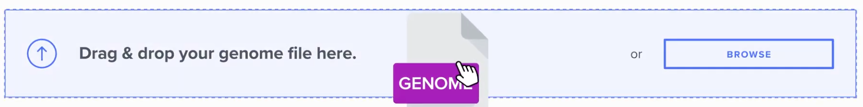 SelfDecode Upload Raw Data