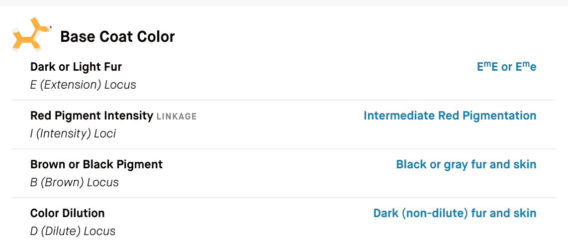 Embark Dog DNA Test results