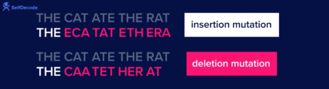 Insertion Mutation and Deletion Mutation