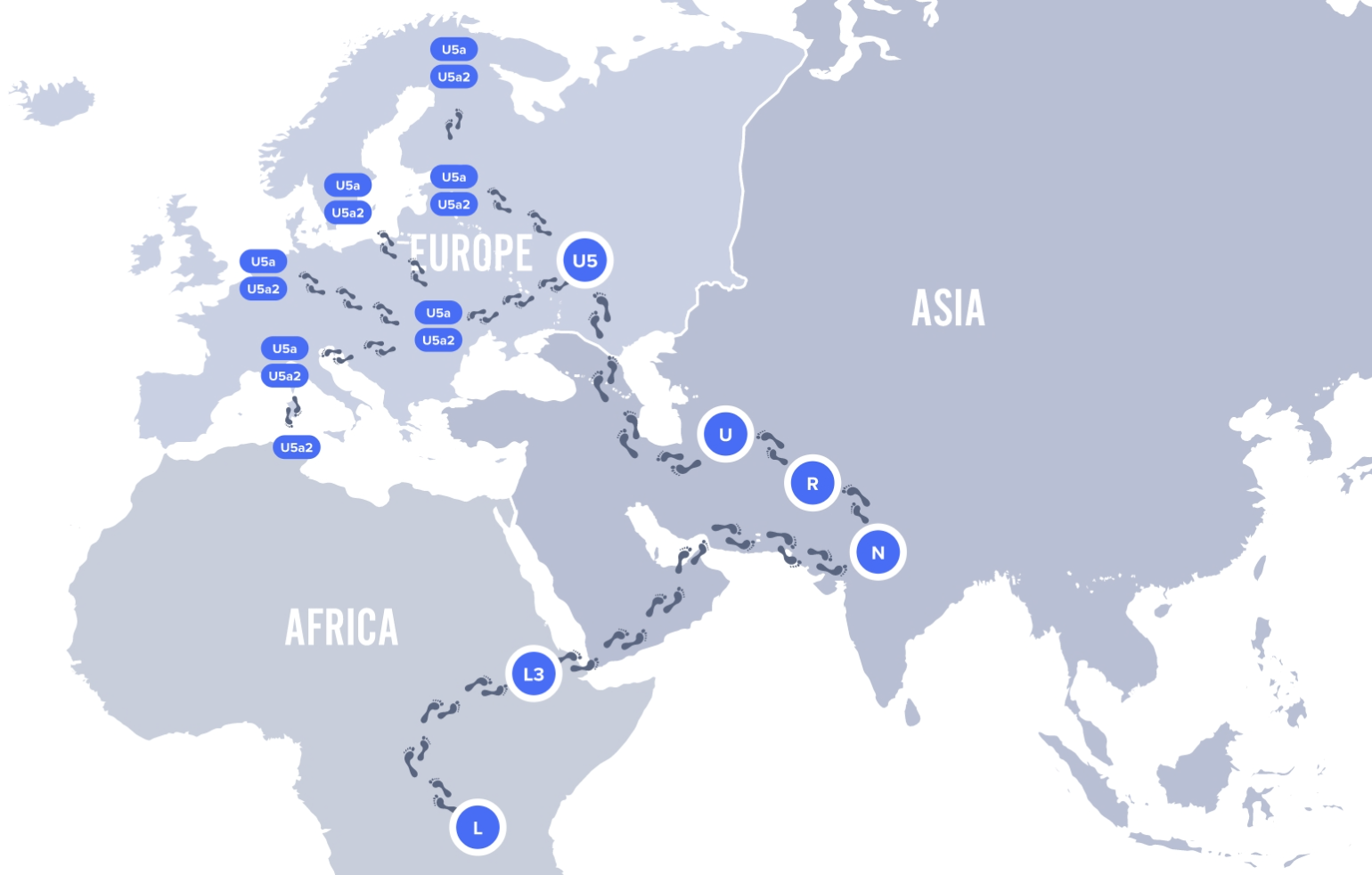 best ancestry test SelfDecode mitochondrial DNA