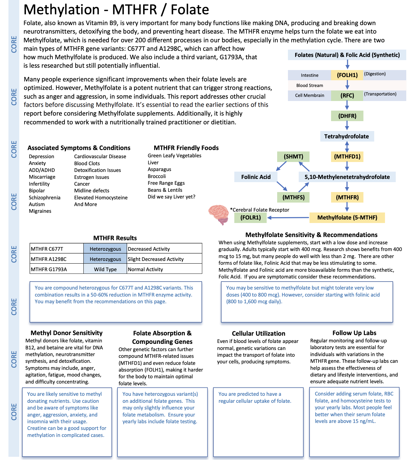 MaxGen Labs Methylation Report