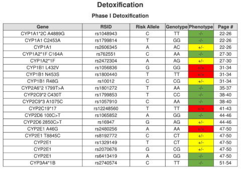 A review of the Genetic Detoxification DNA report